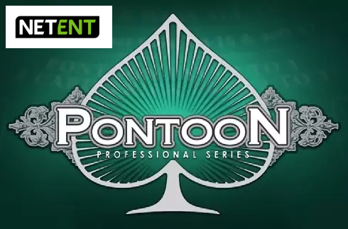 Pontoon Professional Series High Limit